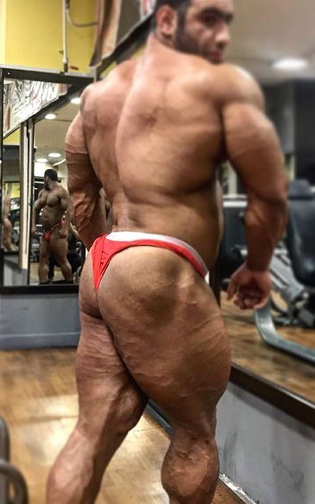 Ayol bodibildingchilar