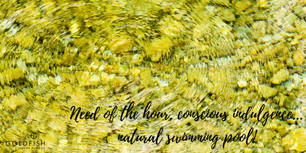GoldfishAbode's tweet photo. Do u knw conventional pools drain away environmentally shocking quantity of contaminated water daily? Be wary of chlorine&algae prohibitors effects on #ecosystems!Time 2 switch 2 #natural #Swimming #pools we have one at #Zresta #goldfishabode #TomorrowsMovement #MondayMotivation https://t.co/TFiaXr91j7