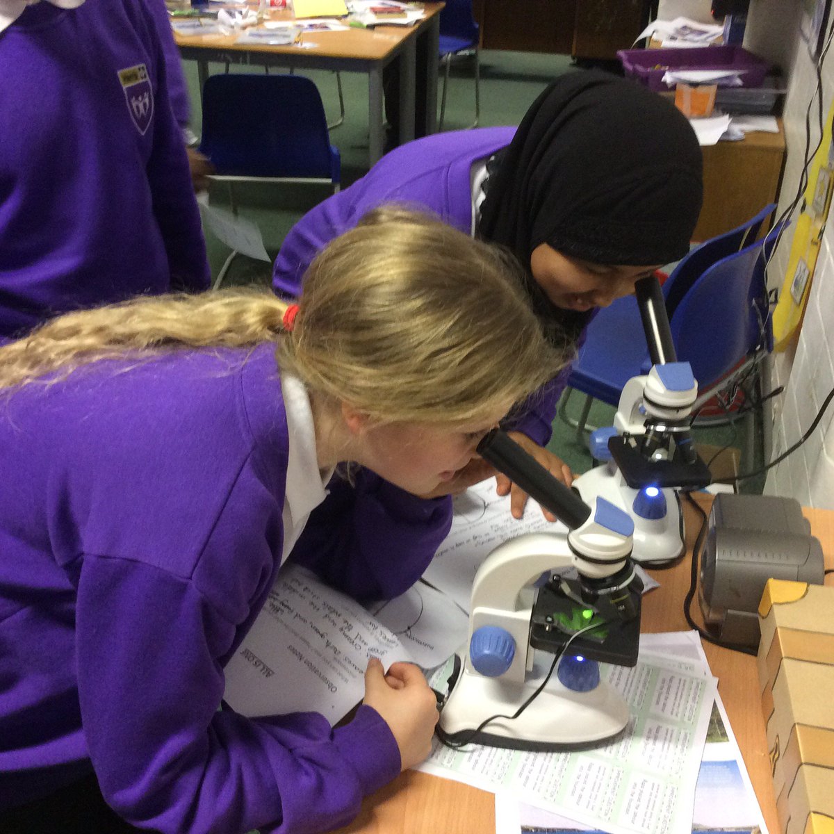 HPA_Philip_Lane's tweet image. At HPAPL we strive to develop an awareness and understanding of the role and importance of science in everyday life. Here are Year 6 undertaking some recent scientific explorations. Future scientists perhaps? 

#HPAPLScience
