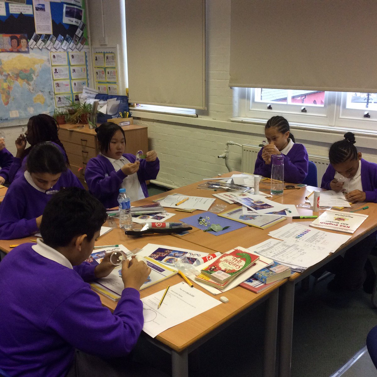 HPA_Philip_Lane's tweet image. At HPAPL we strive to develop an awareness and understanding of the role and importance of science in everyday life. Here are Year 6 undertaking some recent scientific explorations. Future scientists perhaps? 

#HPAPLScience