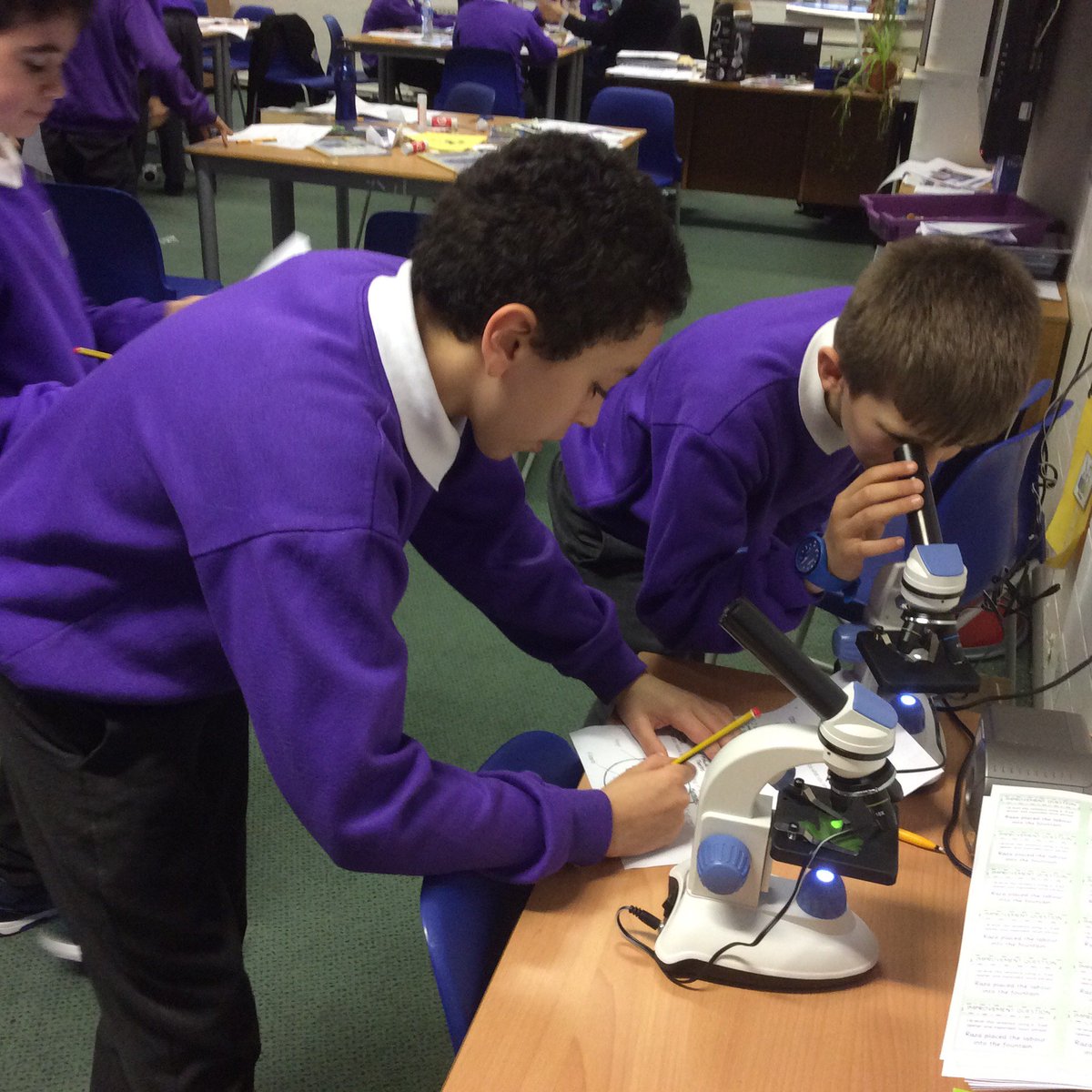 HPA_Philip_Lane's tweet image. At HPAPL we strive to develop an awareness and understanding of the role and importance of science in everyday life. Here are Year 6 undertaking some recent scientific explorations. Future scientists perhaps? 

#HPAPLScience