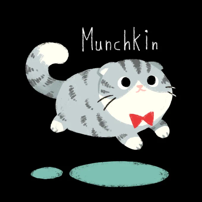 お気に入りの猫イラスト 