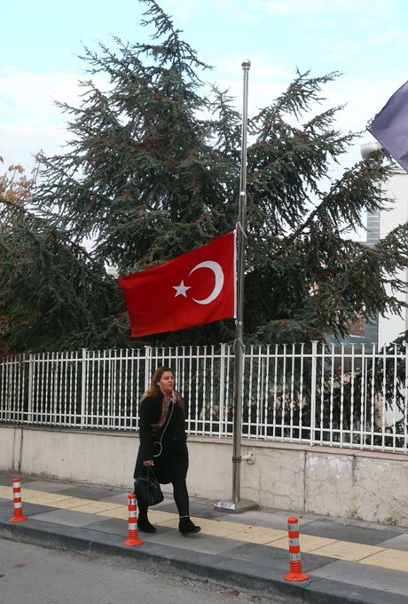 عرض الصورة على تويتر