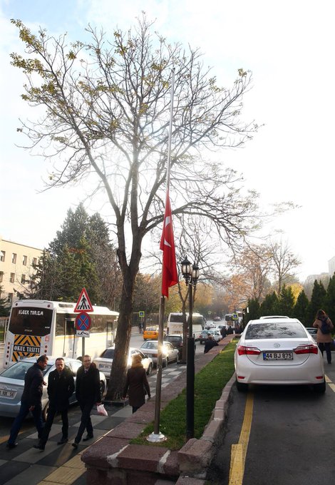 عرض الصورة على تويتر