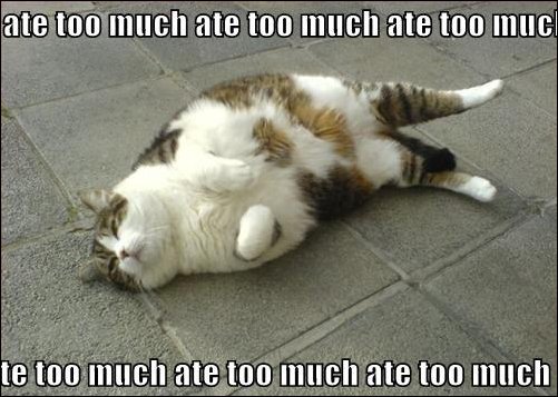 Hope this isn't you today! #Atetoomuch #Christmasfood <a href="/fluxcom/">Kelly Burke</a> @KatieFluxcom <a href="/StagesPowerSA/">StagesPowerSA</a> <a href="/PowerBarSA/">PowerBarSA</a>