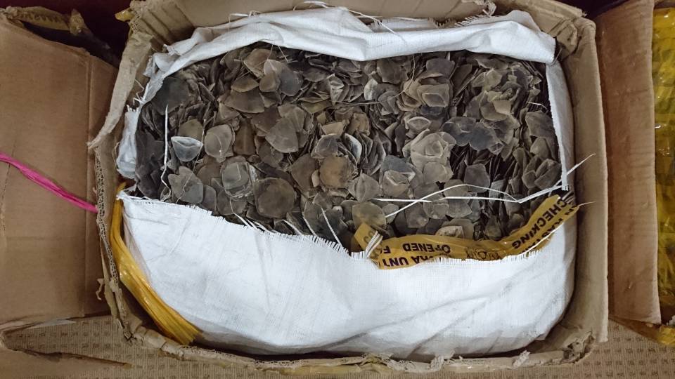 eljohn88's tweet photo. #Pangolin scales in the mail! 337kg going from #Sabah &amp; #Sarawak in #Malaysia via KLIA Mail and Courier Centre KLIA to #HongKong. Time @pos4you joined the fight against #wildlifecrime https://t.co/XSD3K8dEPl