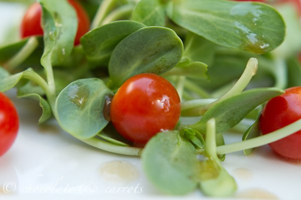 VeggieBros_'s tweet photo. GROW YOUR OWN! #veggie_bros #microgreen #superfood #urbanfarm #urbanfarming #farmersmarket #food #chefs #veggiebros https://t.co/GkSow3lY6H https://t.co/YFVPTIiono