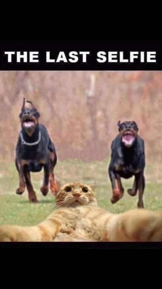 Smash Hills tweet media