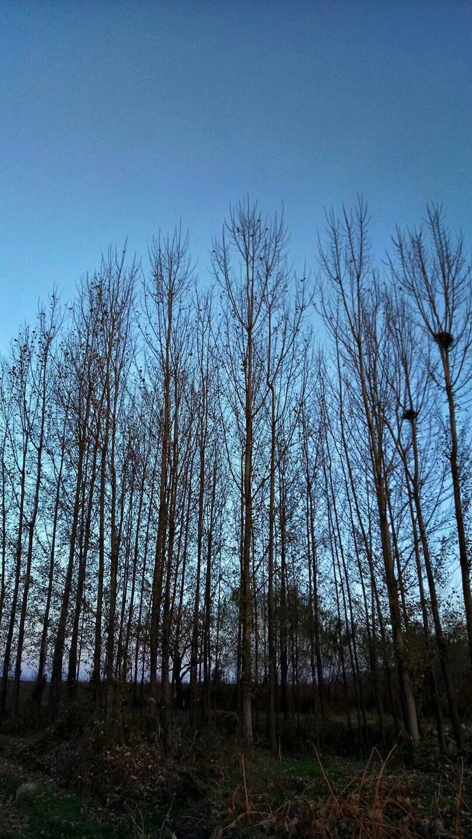 Tonerctrge's tweet image. Cold weather today.