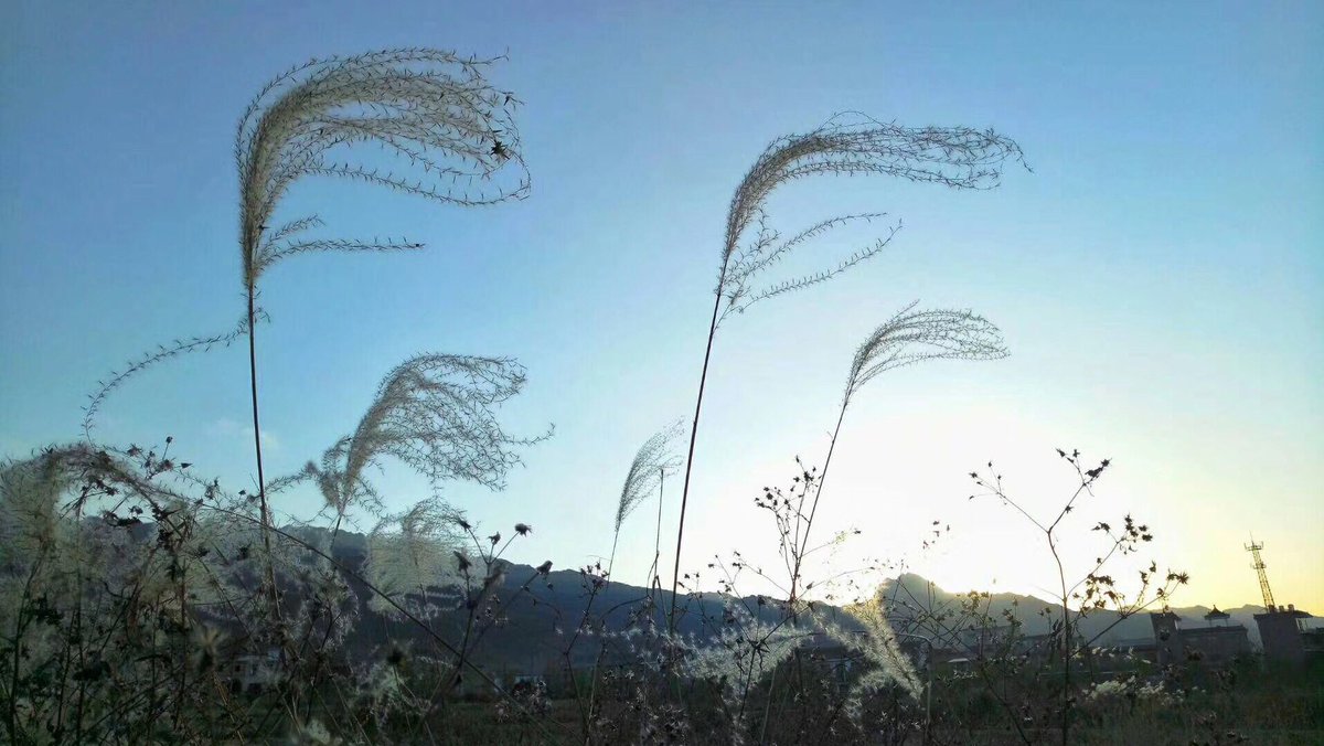 Tonerctrge's tweet image. Cold weather today.