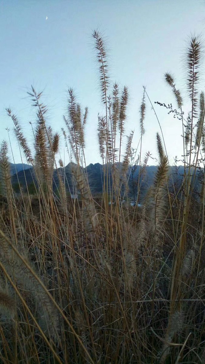 Tonerctrge's tweet image. Cold weather today.