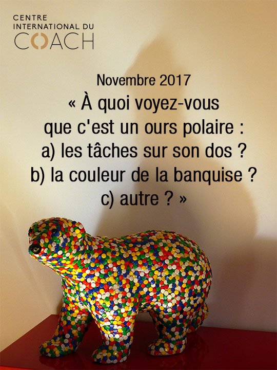 À quoi voyez-vous que c'est un #ours #polaire : a) les tâches sur son dos? b) la #couleur de la #banquise ? c) autre? #coaching