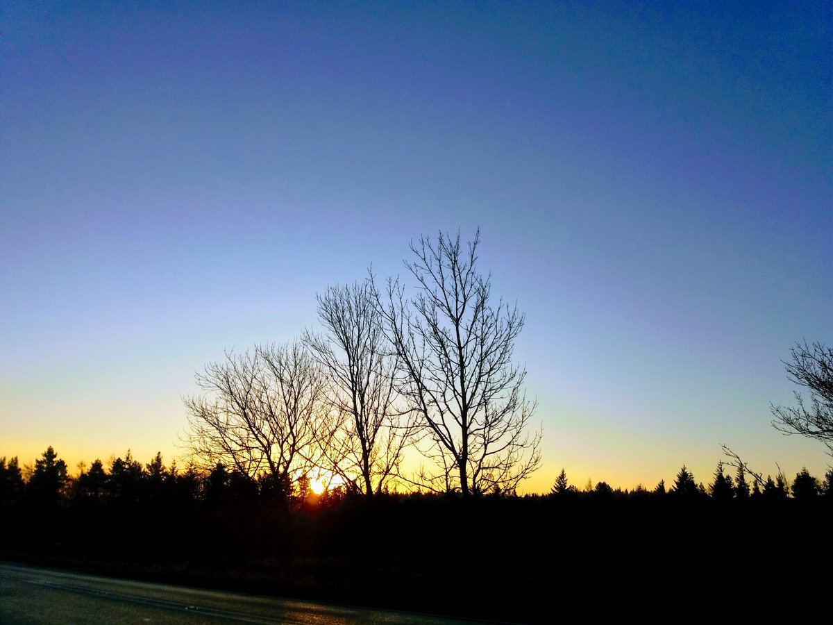 Michell15345949's tweet photo. Winter sun. #headingeast https://t.co/qxDNy27cNI