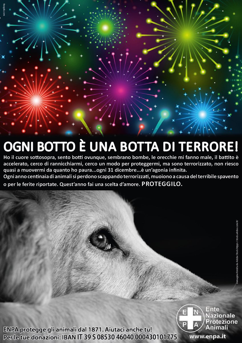MidaBroker's tweet photo. Ogni botto è una botta di terrore! Proteggi i tuoi amici a 4 zampe =) #sempreamici https://t.co/tghMuwn3Eg