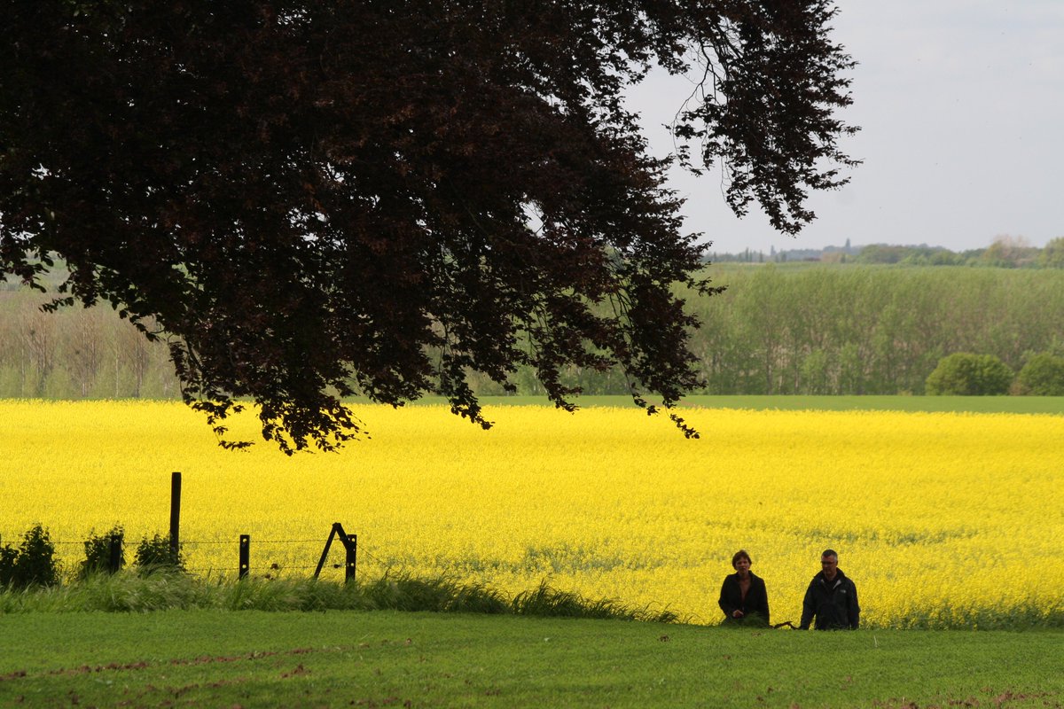 StichtingIKL's tweet photo. ''Tweederde Nederlanders overweegt na te laten aan goed doel'', blijkt uit onderzoek. Wilt u bijdragen aan een springlevend landschap voor de toekomstige generaties? Wij gaan graag met u in gesprek! https://t.co/j0baw4JJ1N https://t.co/514AWhPKTD