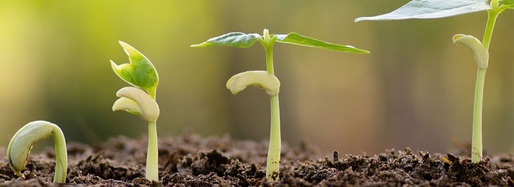 traininglantern's tweet photo. Growth is never by mere chance, it is as a result of people working together as a team!
#lanterntraining.com
#teambuilding
#teamcohesion https://t.co/srqHiHMMYZ