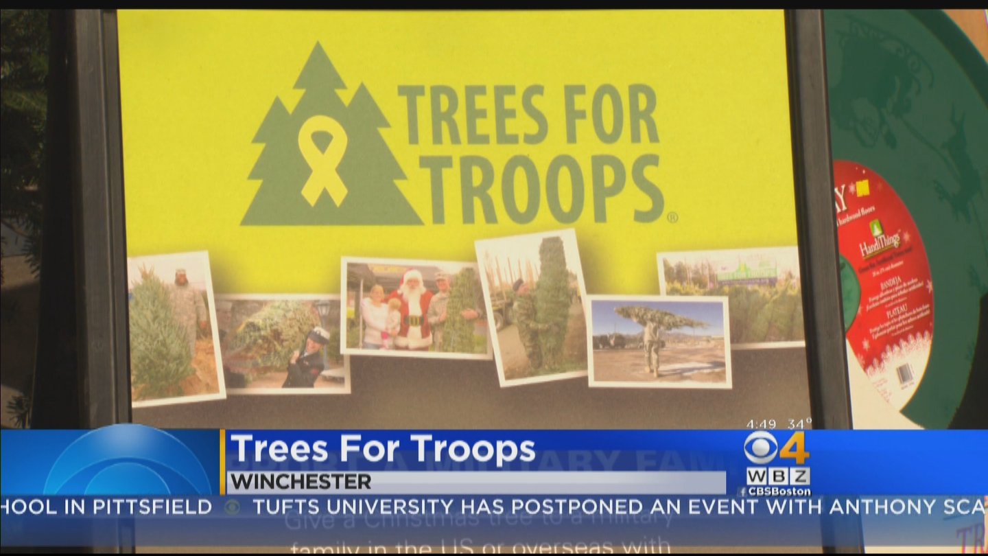 Chris McKinnon on Twitter "Spreading some Christmas cheer. Buy a tree and send one to a