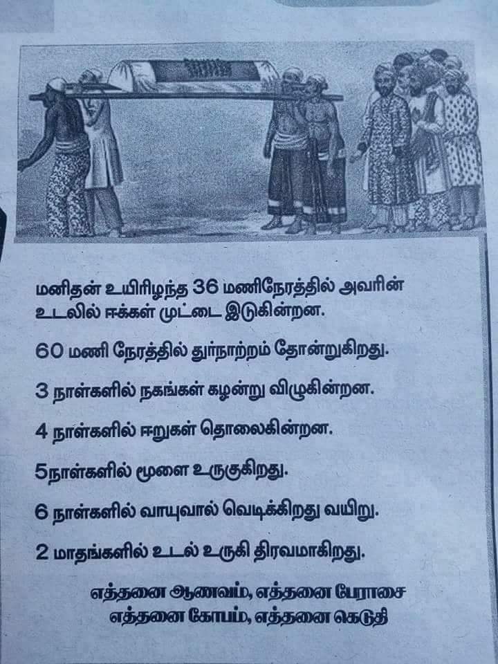 Simba56547710's tweet photo. எதுக்குடா  அடிச்சிக்கிறிங்க. https://t.co/rr09dhJ9hF
