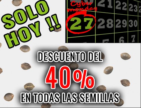Yervaguena's tweet photo. Disfruta de nuestros descuentos antes de que se acaben!!!
40% de descuento en semillas!!! Solo hoy!!!
#CyberMonday #Yervagüena https://t.co/4KQvGYFjoM