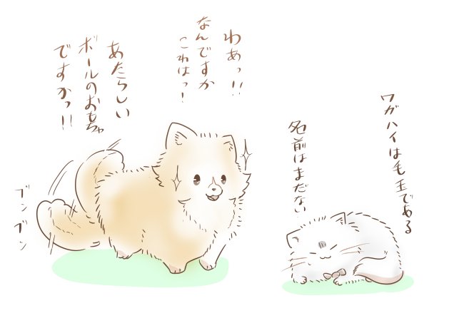 毛玉のtwitterイラスト検索結果