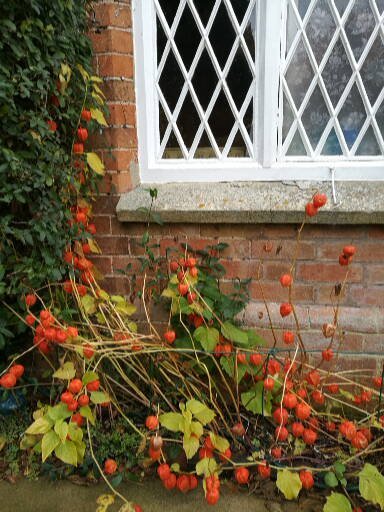 2MaddBags tweet media