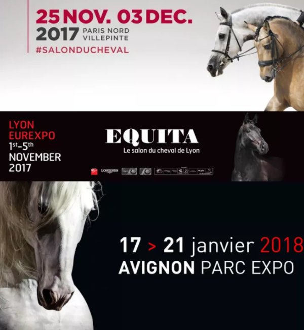 Chevalpassionaavignon Hashtag On Twitter