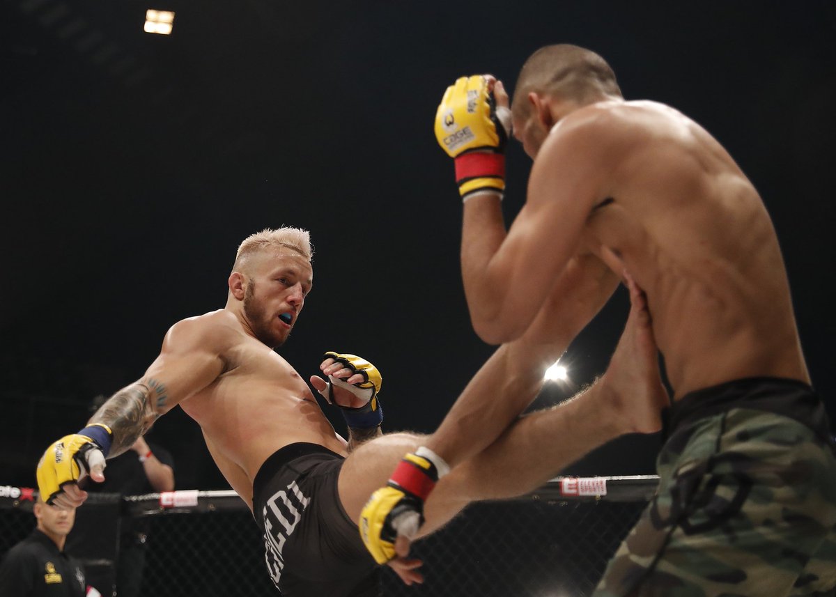 CageWarriors's tweet photo. #CW89 was a huge night for MMA in Belgium! π
Home country heroes were victorious in front of a packed-out crowd at the Lotto Arena in Antwerp. Where in Europe should we visit next? π€ https://t.co/K8TlxKpcv3