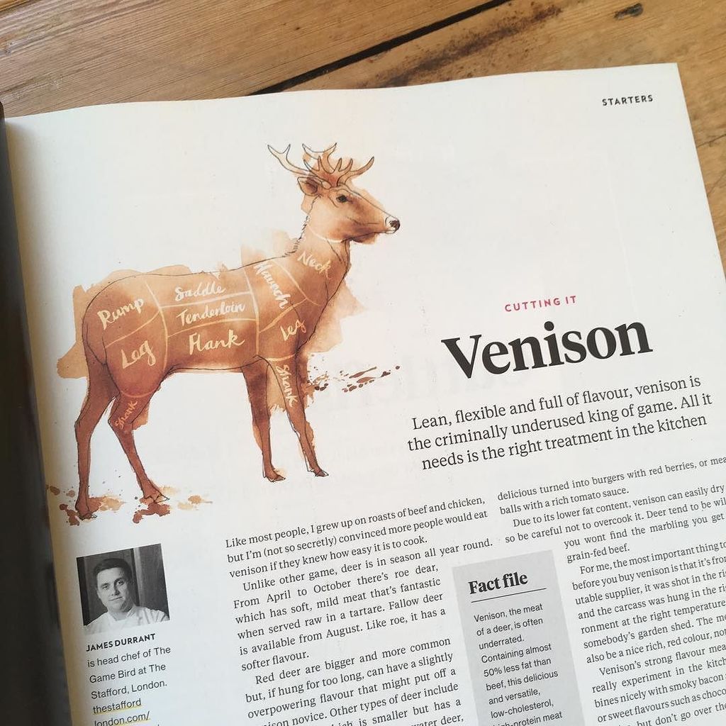 GeorginaLuck's tweet photo. Here’s the king of game in one colour for National Geographic Food. Really interesting read!
#cuttingit #venison #game #haunch #kitchenexperiments #trysomethingnewinthekitchen #illustration #penandink #editorialcommission #natgeofood #nationalgeographic… https://t.co/yziIFqlHvo https://t.co/AkLc5jzdlg