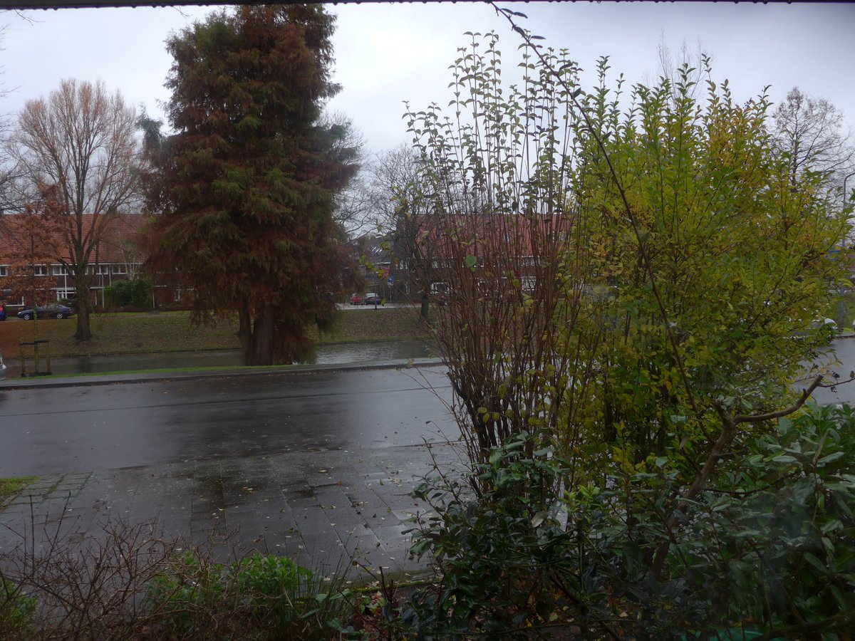 I really don't feel like going out for a #walk today. But I know how great I will feel coming back inside again afterwards. Aired lungs, airy heart. #Hilversum #consciousbreathing