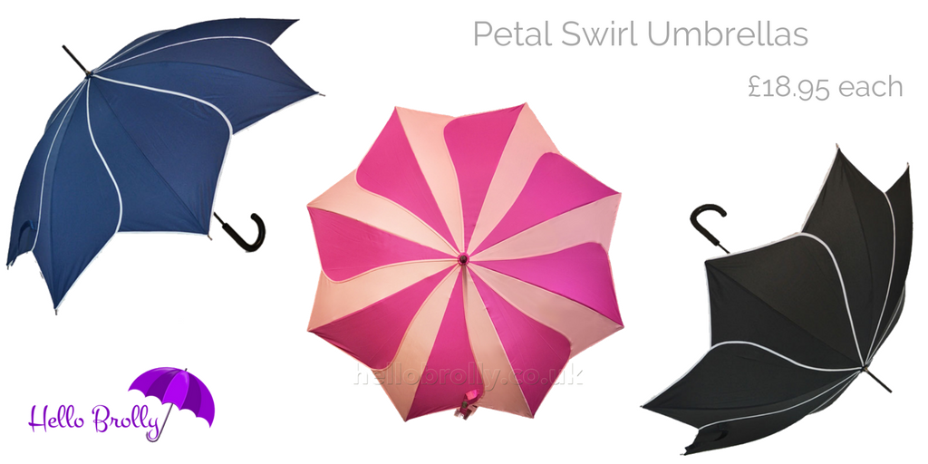 hellobrolly tweet picture