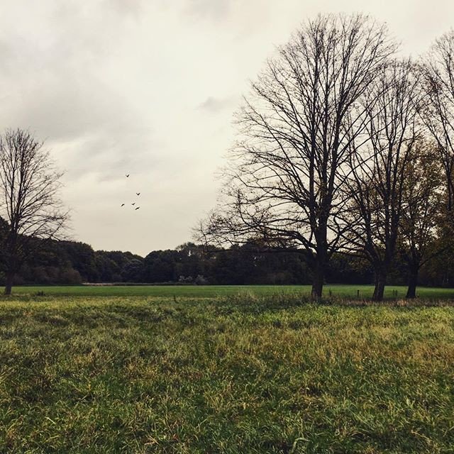 Reposting @systema_natura:
Breathe in, breathe out.⠀
#breathe #freshair #o2 #naturewalk #nosebreathers #openair #stretch #walk #meditate https://t.co/LjFPYFfMty