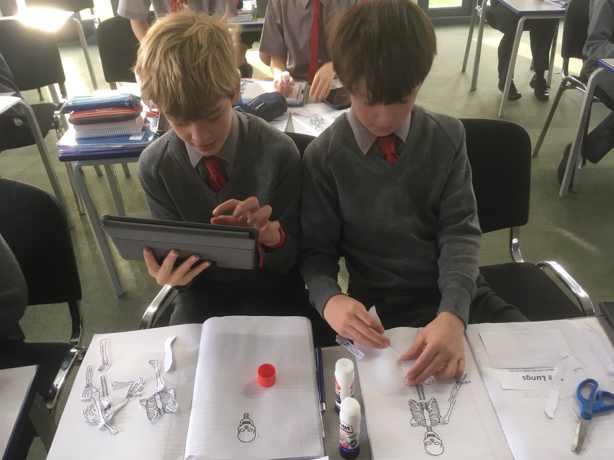 MoulsfordSci's tweet photo. Using the #essentialskeleton4 app to label up our ‘dabbing’ skeleton @moulsfordict https://t.co/c4eCBDP2Y1