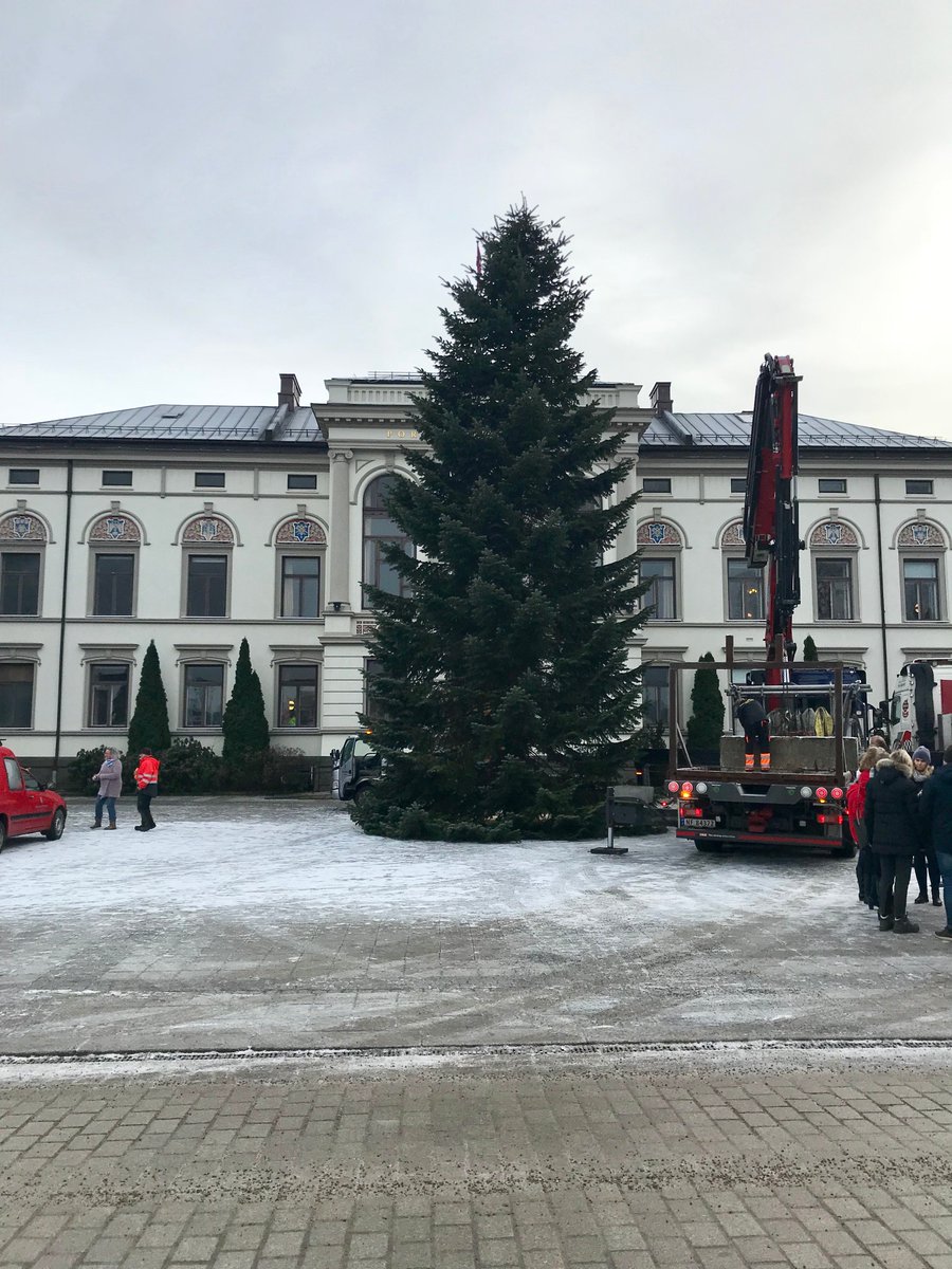 Da er juletreet på plass foran rådhuset. I år er det en edelgran. Den kommer fra en hage på Flåtten terrasse #kortreist #porsgrunn
