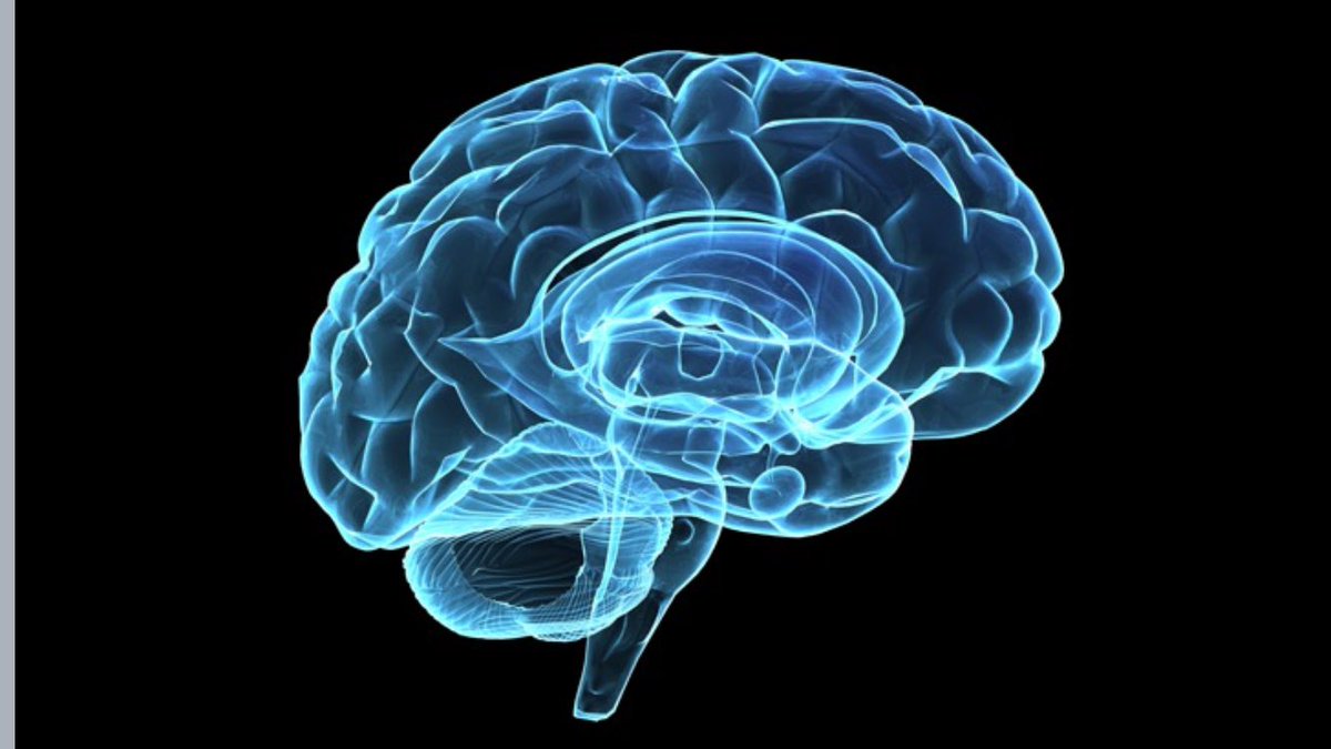 ClareBosanko's tweet photo. Brain is the most powerful simulator you have, engage in mental practice to optimise your #performanceunderstress @EmrtsWales https://t.co/B0NbPPRRhP