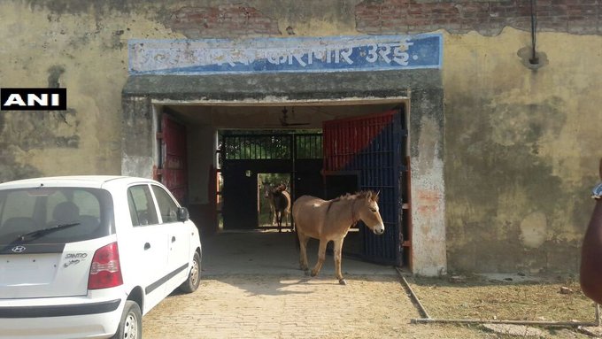 View image on Twitter