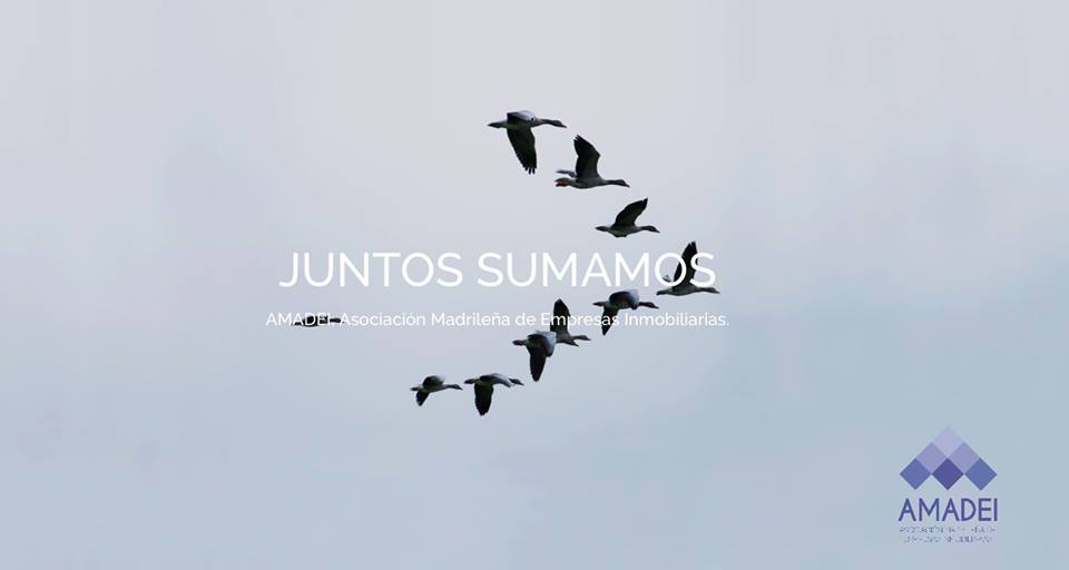 AmadeInmo's tweet photo. HOY acudirán a la #FUNDAE la Presidenta de FADEI, Montse Juyent y el Secretario General de #AMADEI (miembro de la Junta de Gobierno de FADEI), Jesús Martínez, para definir la estrategia formativa del sector inmobiliario junto con Administración y Agentes Sociales.  👌 https://t.co/HFgaotBEaM