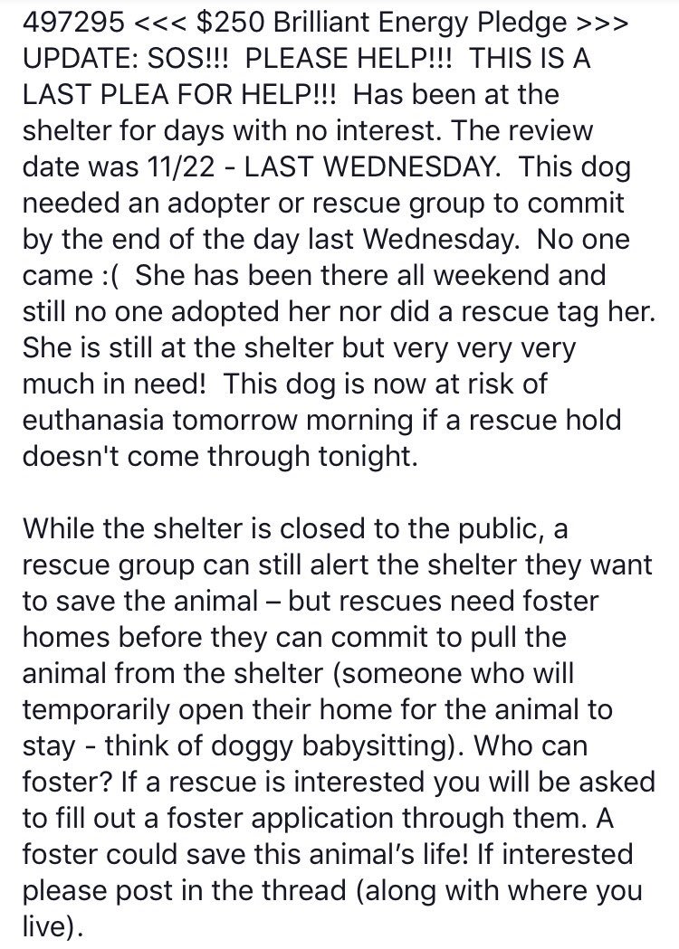 reddogsusie's tweet photo. #TX #HarrisCo #Houston
๐๐CODE RED super sweet 4yo girl WILL BE KILLED ANYTIME! Watch๐ผSheโs so sweet! Pls act now! #ADOPT #DONATE #RESCUE #FOSTER HELP๐๐ป๐๐ป
https://t.co/YOani7WEzW https://t.co/qH3xmbeEC4