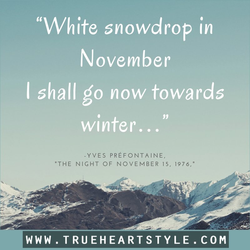 TrueHeartStyle's tweet photo. “White snowdrop in November
I shall go now towards winter…”
-Yves Préfontaine, "The Night of November 15, 1976," ❄️
#November #MondayMotivation #MondayBlues #CyberMonday2017 #FelizLunes #MoodMon #mood #TrueHeartStyle https://t.co/gaSMgFKMsr