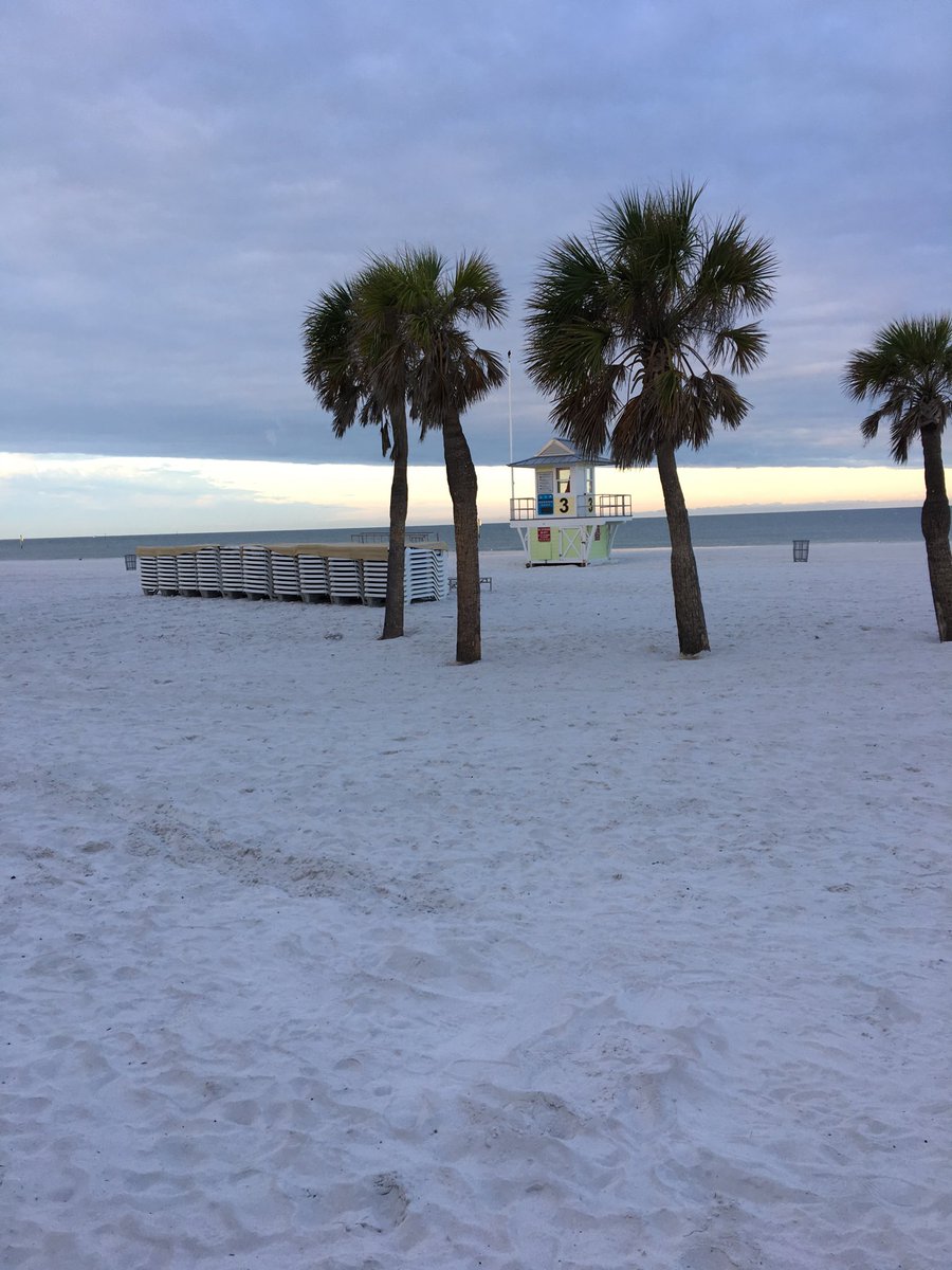 CarlaComparato's tweet photo. #good morning Florida https://t.co/cvAToDpXI4