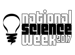 InterAravaca's tweet photo. The 4 years old painted using magnets and black light https://t.co/sImLwiZ9u1 @_acade @aquilatierratve @Magisnet #scienceweek2017 https://t.co/CGMah7eF4o