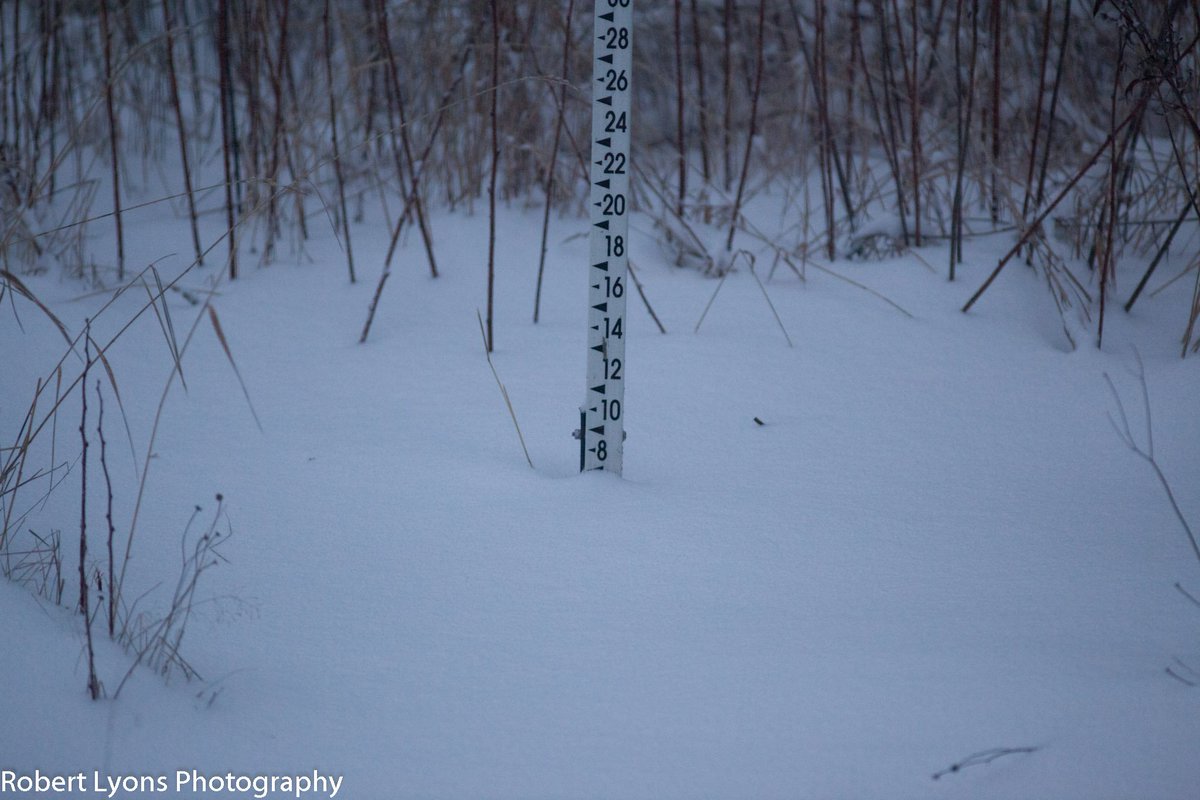 2" new bringing total at the stake to 7".   23 degrees. Walden 4N COOP
 <a href="/TylerJankoski/">Tyler Jankoski NBC5 📺</a> @CaitlinMyNBC5 ?<a href="/TomMessner/">Tom Messner</a>