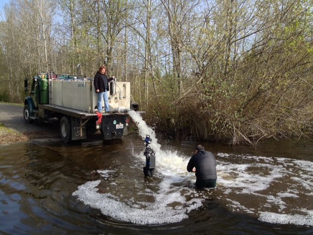 NWDerbySeries's tweet photo. Be sure to get out on your boat to hook into some holiday fun! Here is a link to my KIRO Outdoor Line fishing blog on hot-spots to catch a bounty of trout or dig up some razor clams!
https://t.co/qzZ5pV3Ffh https://t.co/3uhjh0EQAt