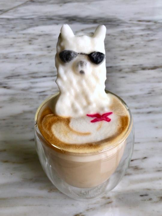 HollisterCo's tweet photo. Llamaste at home, drink a latte &amp; get in on this Cyber Monday Sale❣
📷: @periperipeng https://t.co/uXMctqXRT3
