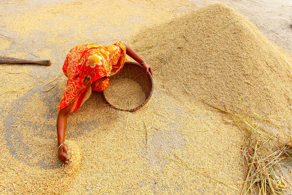 L'#agriculture de demain exigera beaucoup de connaissances, selon la <a href="/FAOnews/">FAO Newsroom</a> bit.ly/2AcCw4F