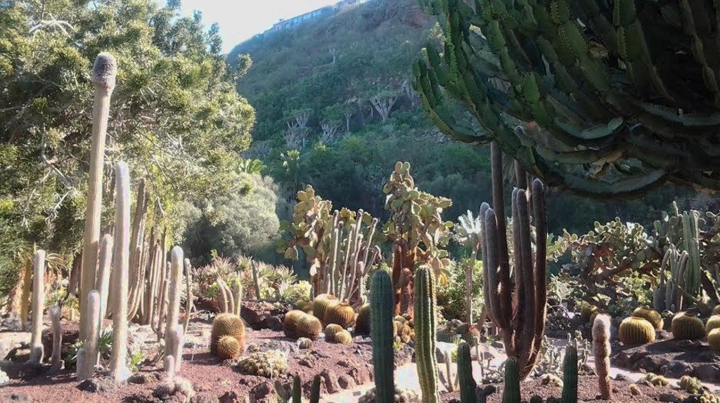 vennturcom's tweet photo. Did you know that an extensive area of the island is part of the UNESCO Biosphere Reserve? Discover this natural heritage by land or sea and do not miss its important historical, cultural and artistic heritage! https://t.co/xXWAOI3hX5