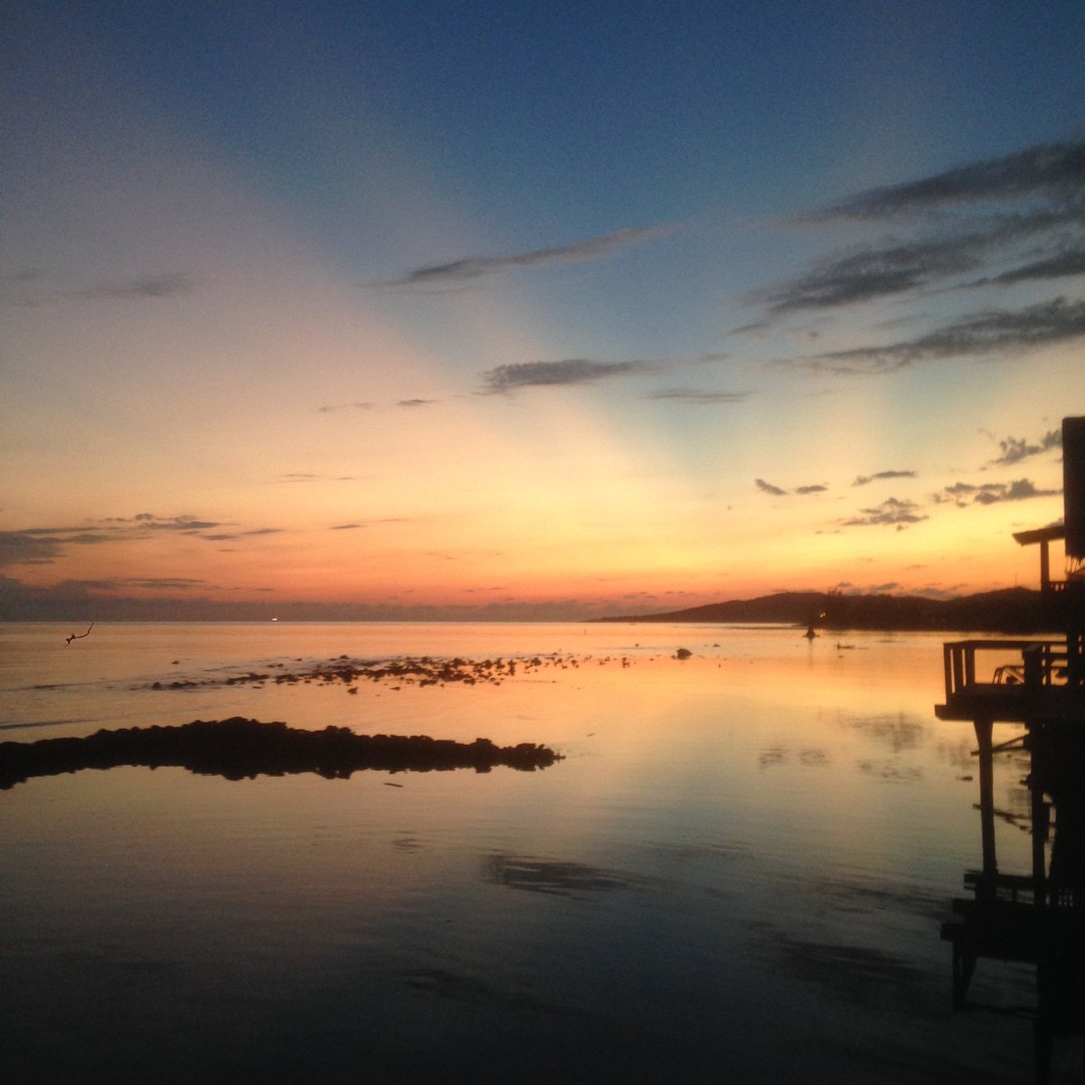 HuxleyanWorld's tweet photo. Bye, bye #Roatan #ReefHouse Back to work! https://t.co/YOWWJmG2WP