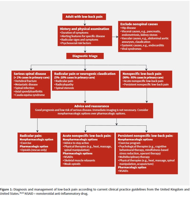 Physio Meets Science on Twitter: "Diagnosis and management of low-back ...