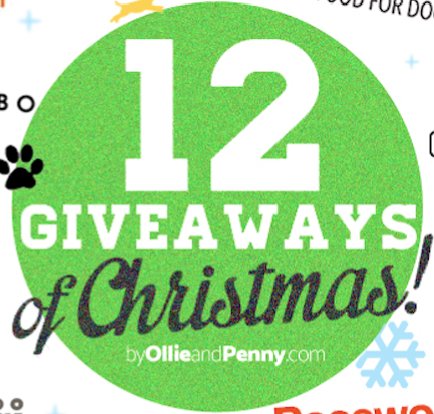 ollieandpenny's tweet photo. ๐ฃ๐ฃ๐ถ ...our Blog Pupdate newsletter is just about to go out with our 12 brand partners announcement for our 12 Giveaways! ๐คฉ๐๐
Be the first to know - you have 5 mins to sign up! https://t.co/qH78KdMCh0 #12giveawaysofchristmas #dogsoftwitter #woofwoofnetwork #giveaways https://t.co/rku4BFxxiJ