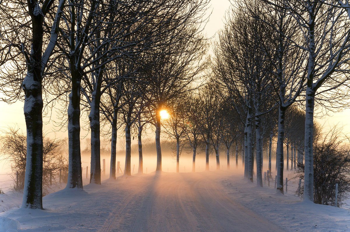 Businessbookint's tweet photo. Winter is coming... This means winter sports are coming! Planning to organize a winter sports trip? We at Business Booking International are experts in organizing your perfect trip to the snowy mountains. Check out our website for more information.
https://t.co/rXANnEgqsy https://t.co/B9lwH51wsf