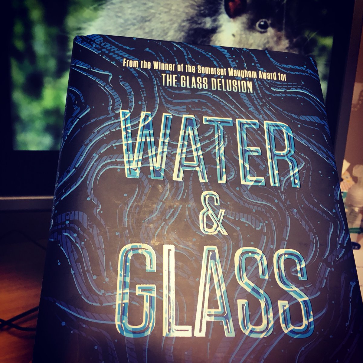 #publicationweek for #water&glass. I thought I’d photograph it around and about but so far just managed the office #woollyrat @CLBPressUK @watsonlittle